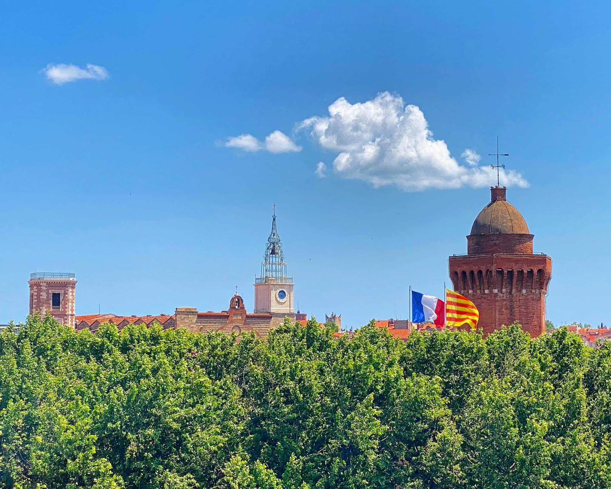 Vue de Perpignan 6